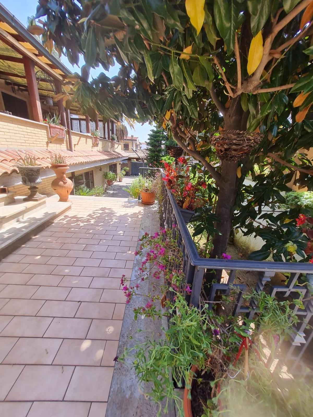 Villa Mattei Dreams روما المظهر الخارجي الصورة